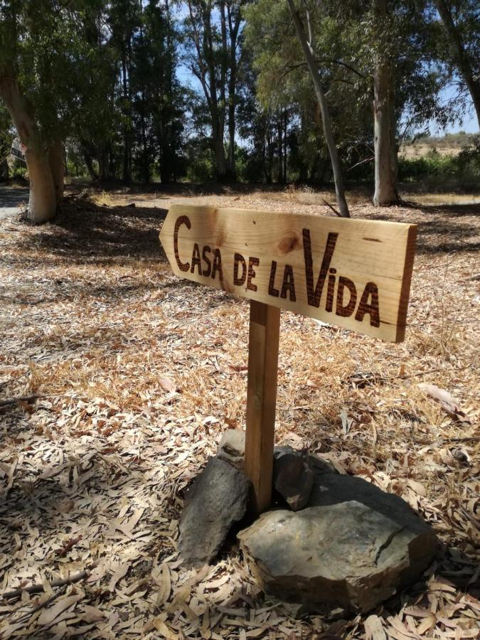 Casa De La Vida Malaga Allotjament i esmorzar *